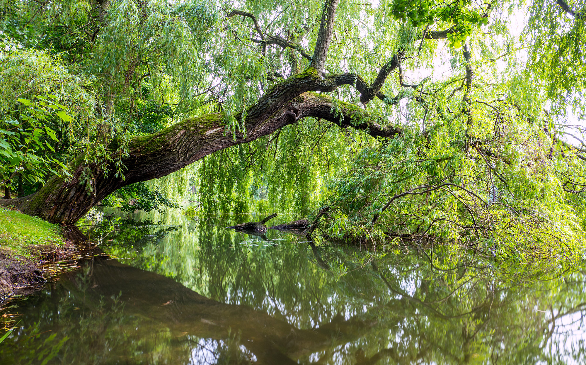 Biotop Narauner Weiher - Hotel Tirolensis