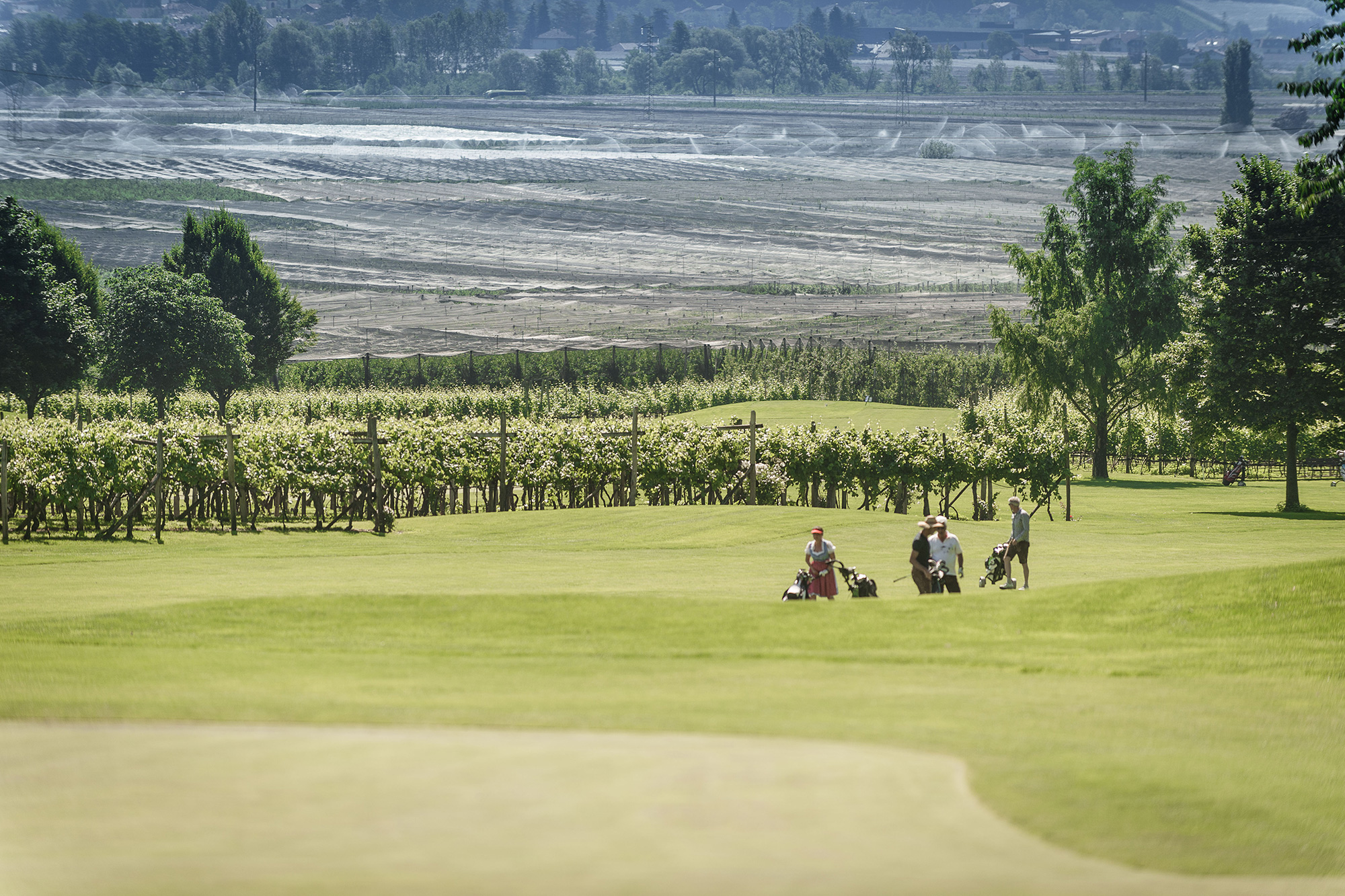 Golf course in Merano - Hotel Tirolensis