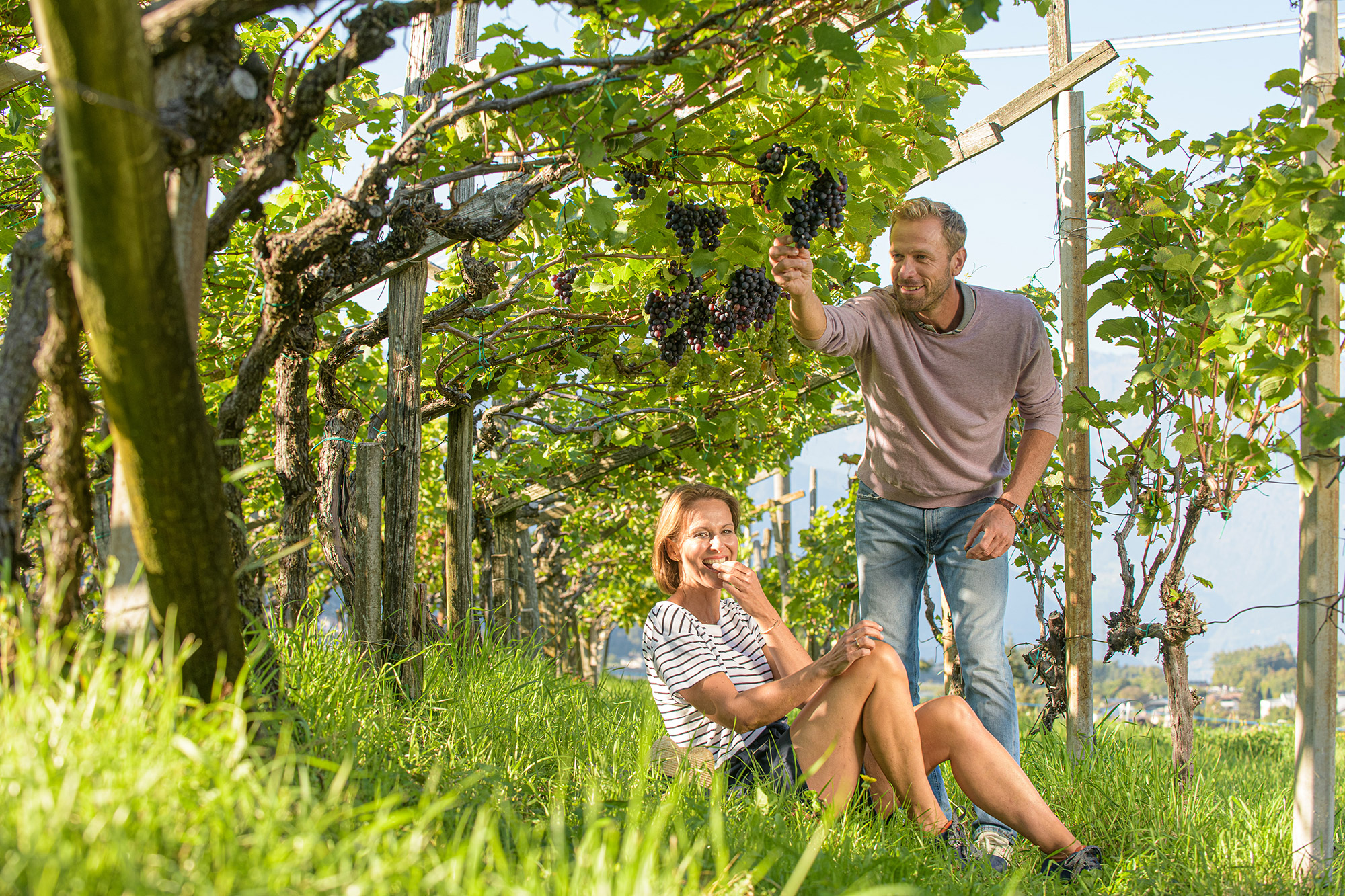 Weinsafari - Genussmoment - Hotel Tirolensis