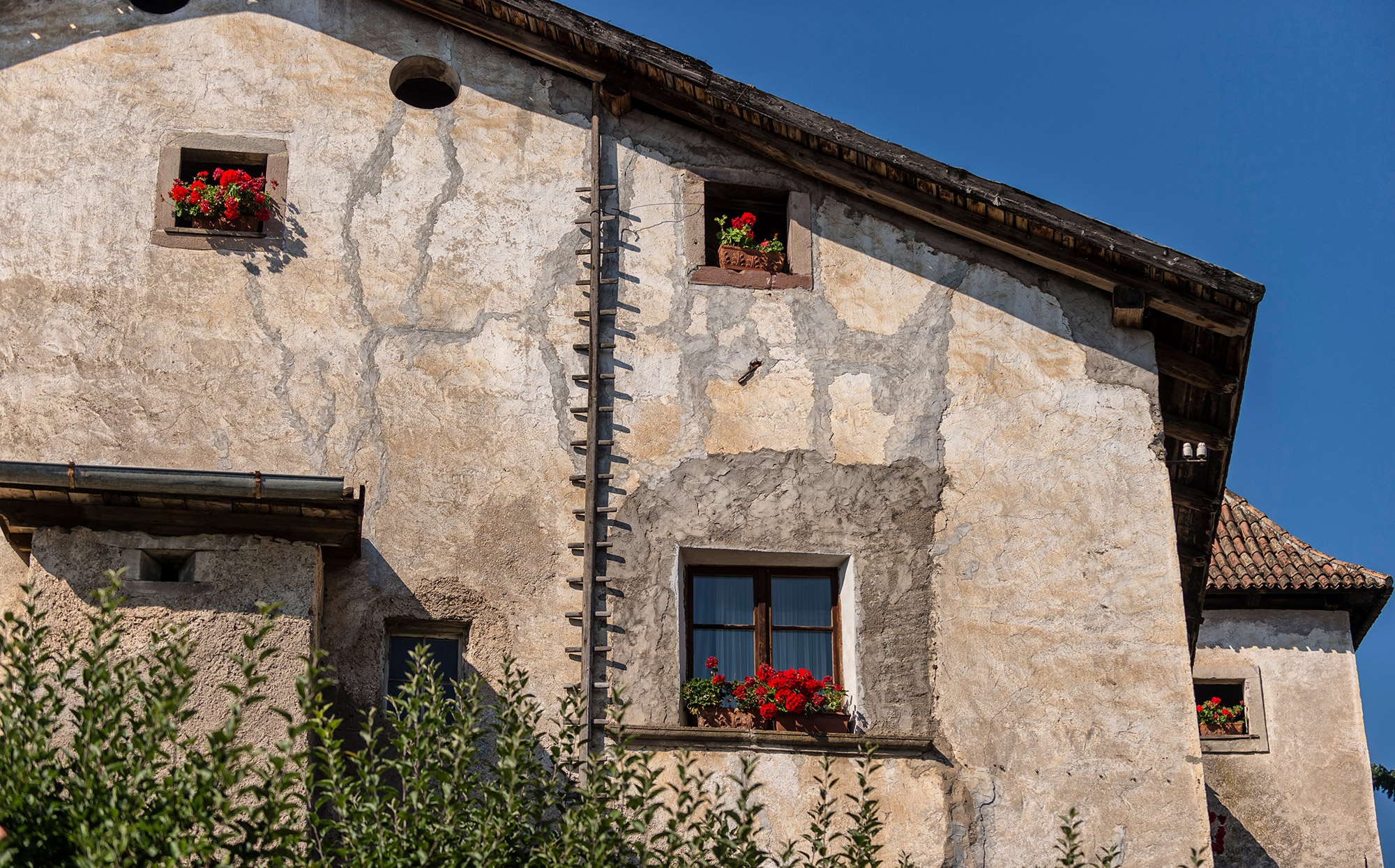 Hausfassade mit Geranien - Hotel Tirolensis