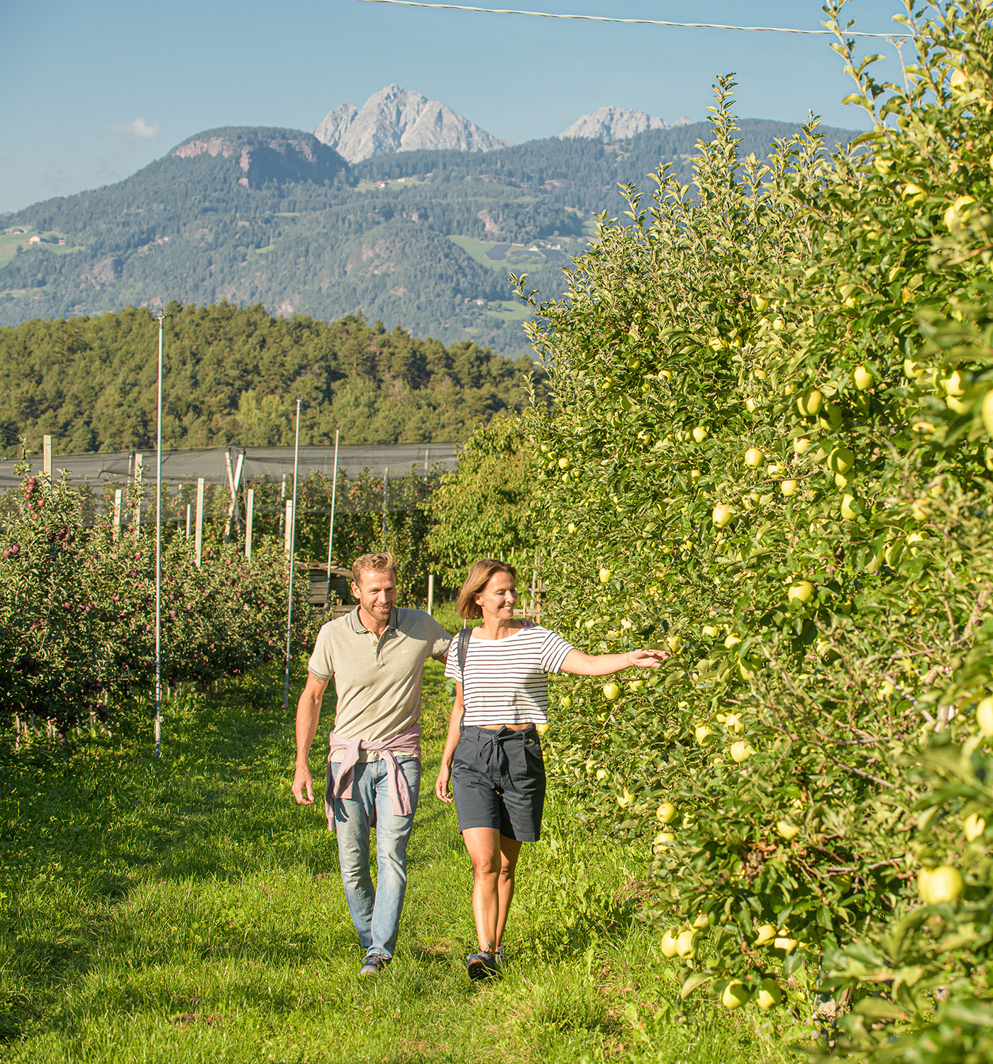 Servizi inclusi - alberi di mele - Hotel Tirolensis