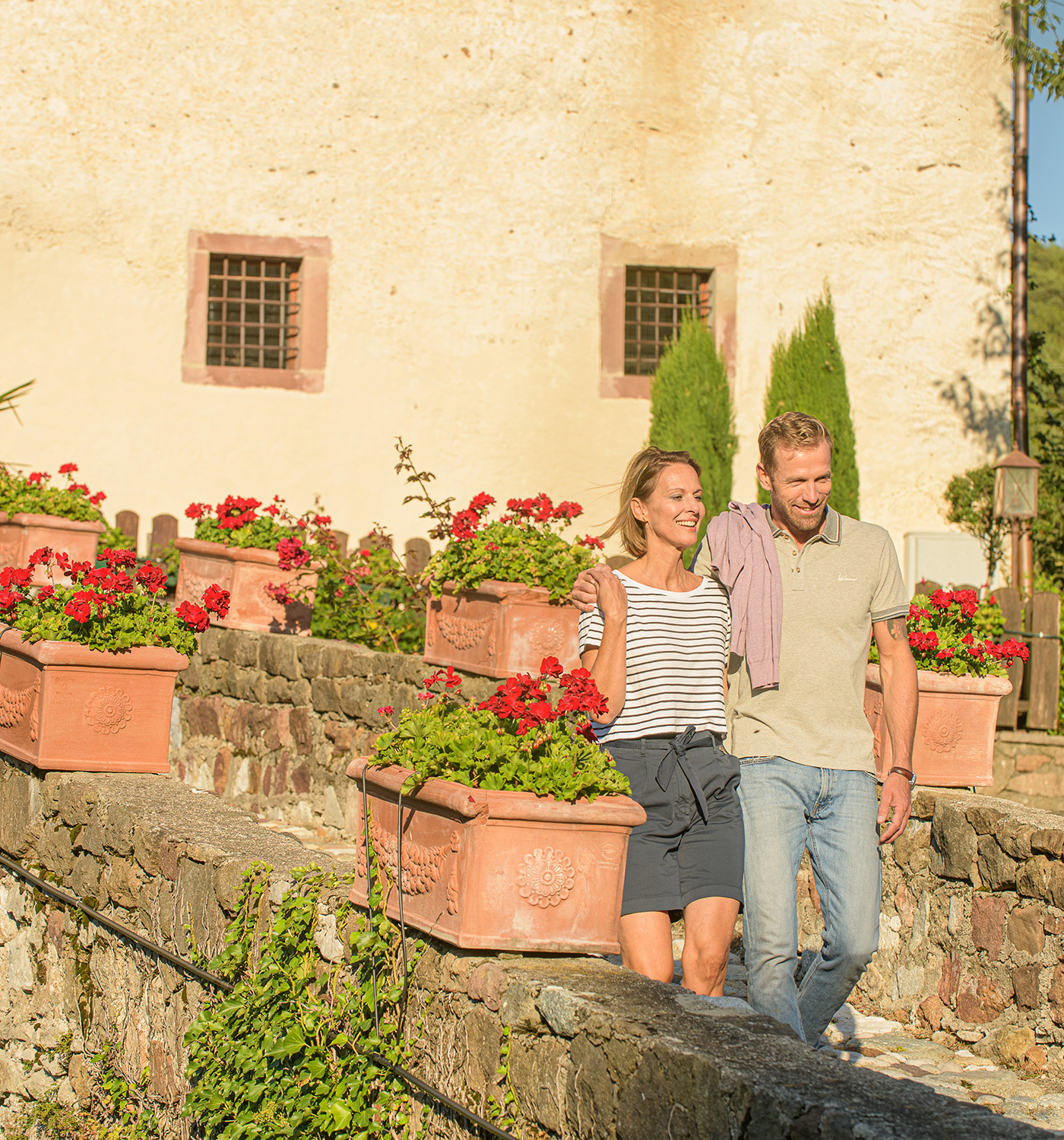 Servizi inclusi - visitare castelli - Hotel Tirolensis