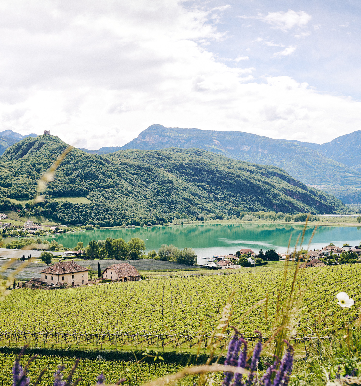 Servizi inclusi - Lago di Caldaro - Hotel Tirolensis