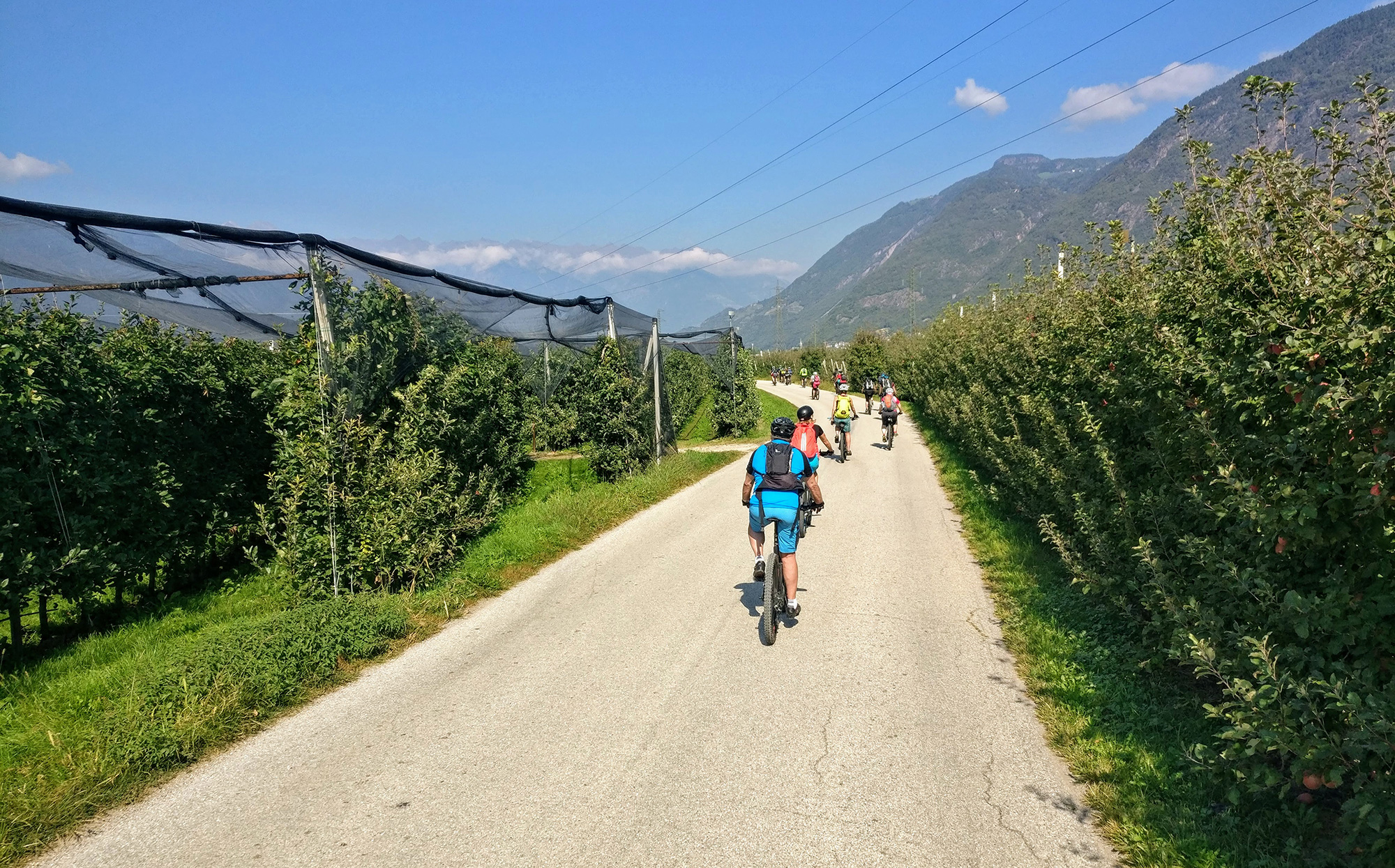 Cycle path from Bolzano to Merano - Hotel Tirolensis