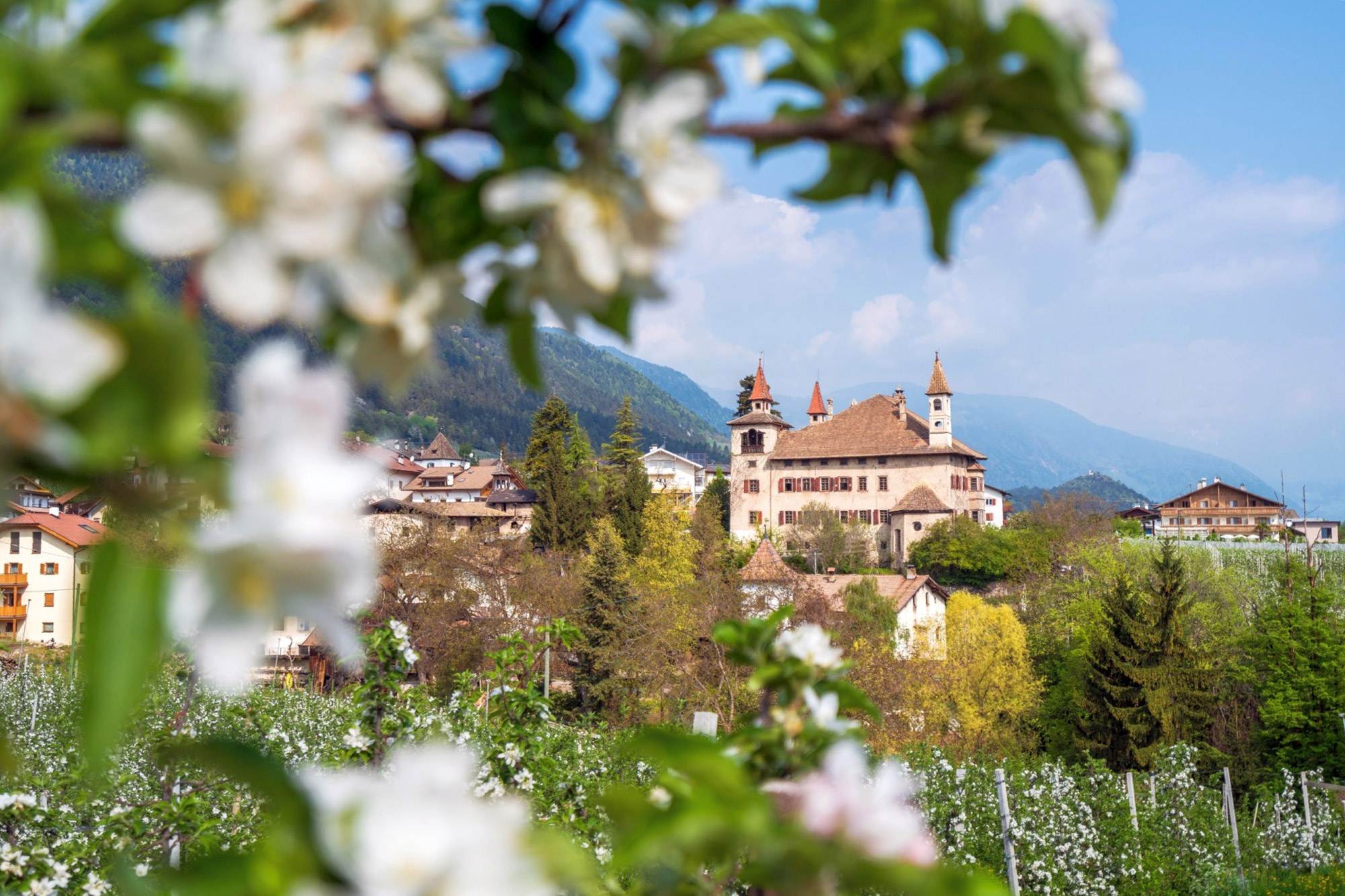 Fahlburg - Zentral - Hotel Tirolensis