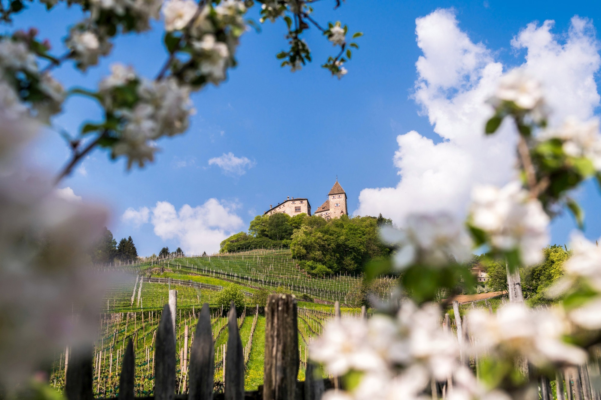 Schloss Wehrburg im Sommer - Ansicht von unten - Hotel Tirolensis